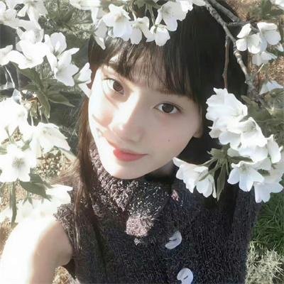 欲望之翼