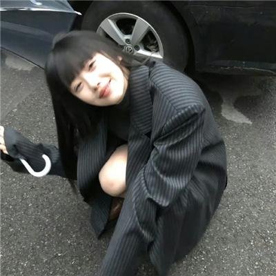 鬣狗之城